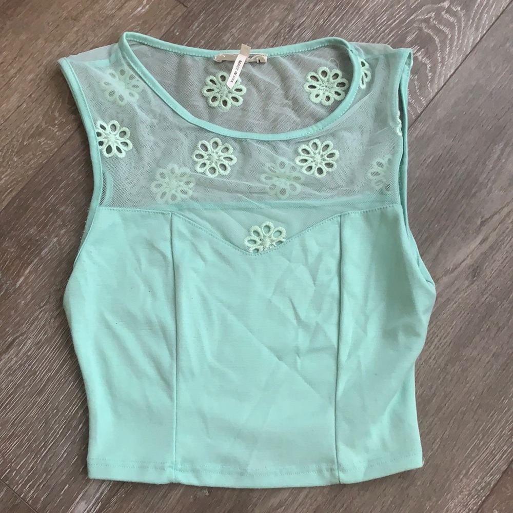 Mint Kirra floral embroidered crop top